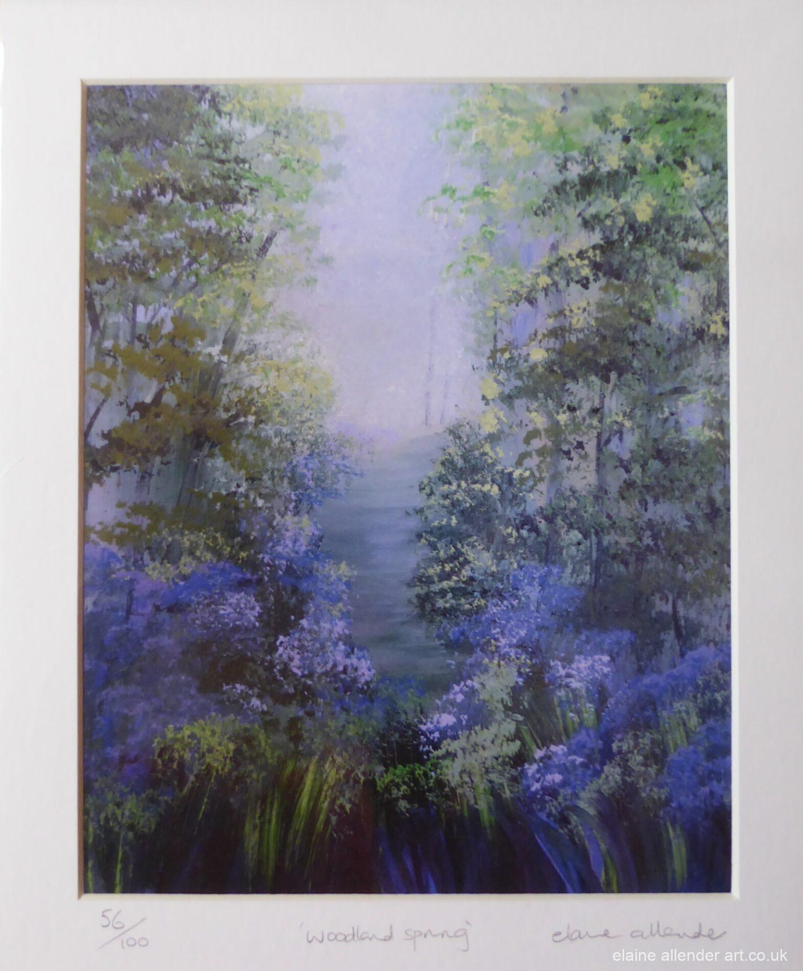 Woodland Spring